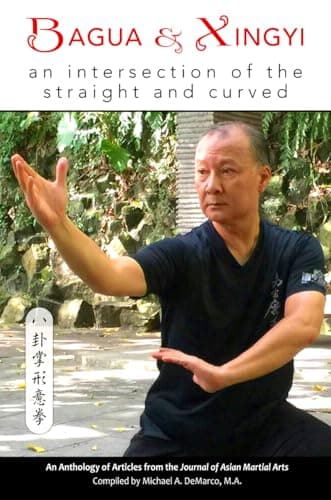 Buchcover von Bagua and Xingyi