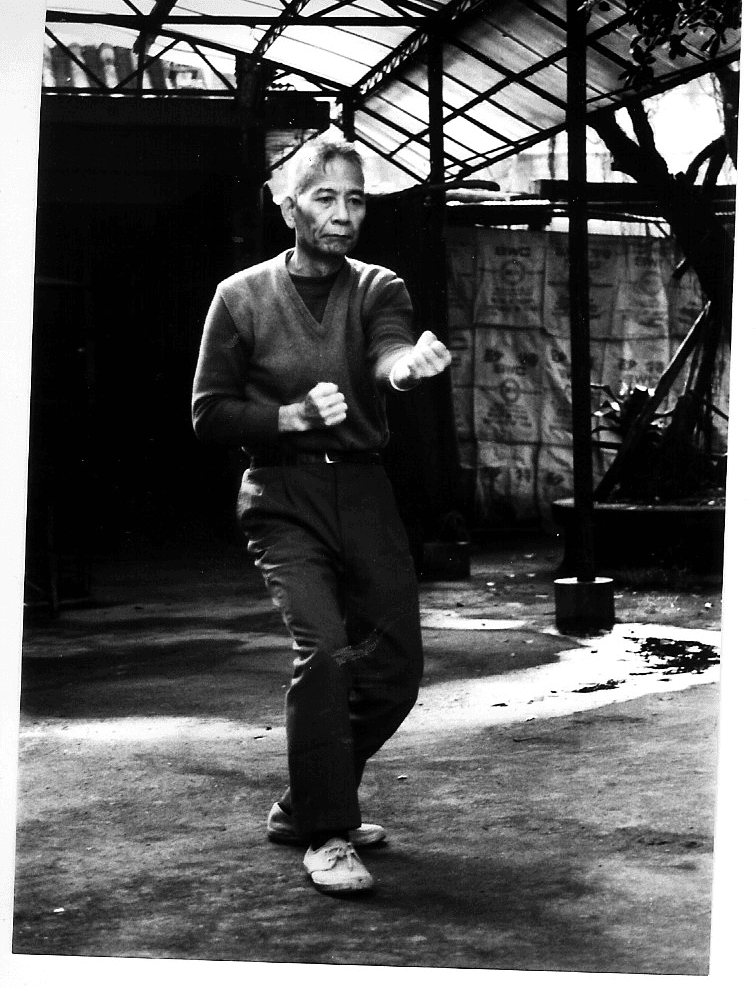 Hung I-Mien · zermalmende Faust (Beng Chuan)